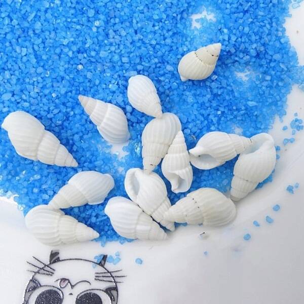 Natural Conch Shell Beads