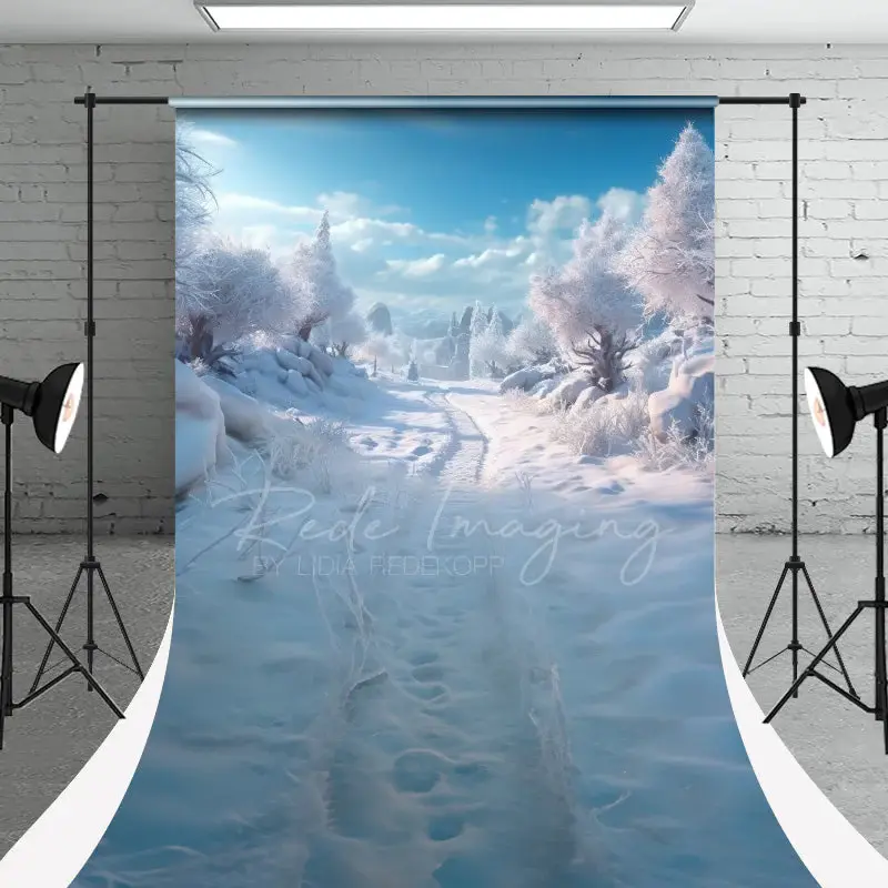 Winter Snowy Woodland Christmas Photo Backdrop - Aperturee
