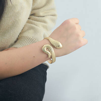 Snake Alloy Cuff Bangles for Women