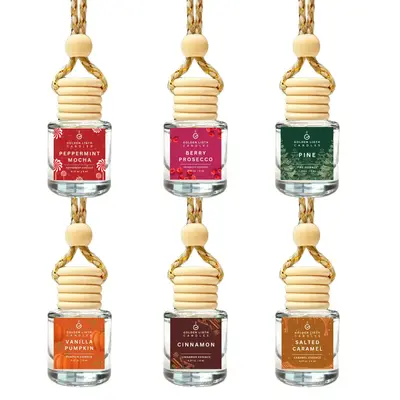 Holiday Edition Scented Car Air Freshener - Long Lasting Car Fragrance Diffuser - 60+ Days