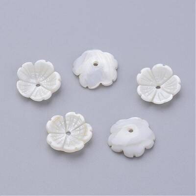 Natural Freshwater Shell Beads