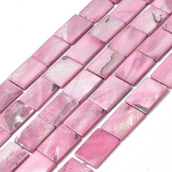 Natural Freshwater Shell Beads Strands