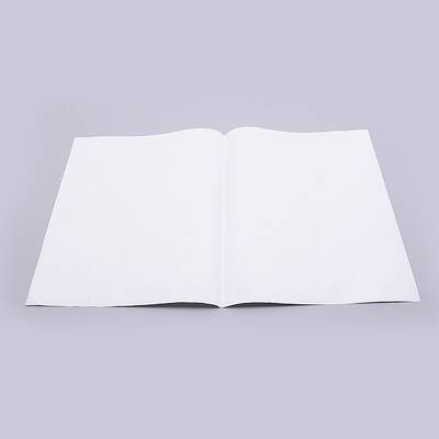 PVC Sofa Furniture Protectors from Cat Scratch