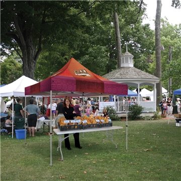 1 Promotional 10' Premium Tent Kit - Weather Resistant & Aluminum ...
