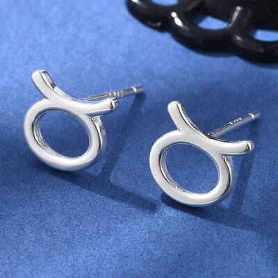 S925 Sterling Silver Stud Earrings