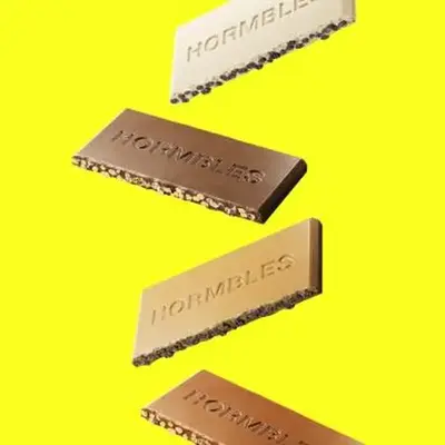 Variety Pack (8ct - 2x all flavors) - Hormbles Chormbles Protein Chocolate