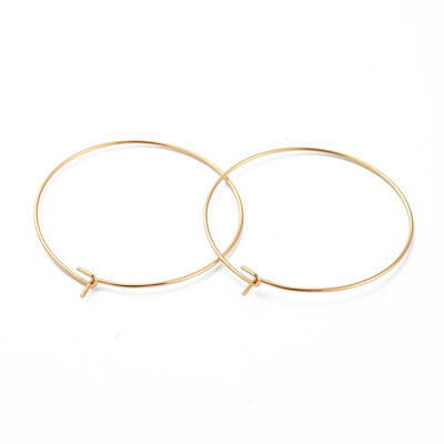 316 Surgical Stainless Steel Hoop Earring Findings