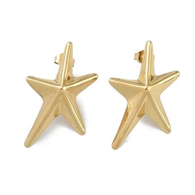 304 Stainless Steel  Stud Earrings for Women
