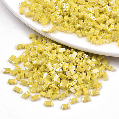 2-Hole Glass Seed Beads