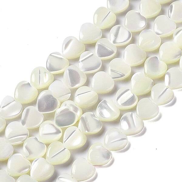 Natural Trochid Shell/Trochus Shell Beads Strands
