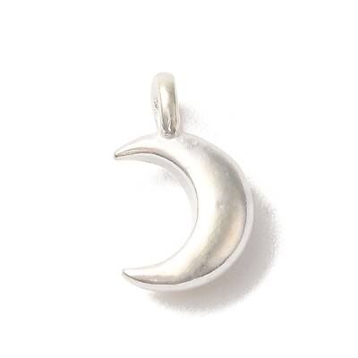 925 Sterling Silver Charms