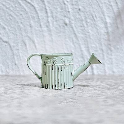 Alloy Watering Can Mini Model