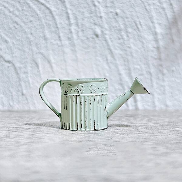 Alloy Watering Can Mini Model