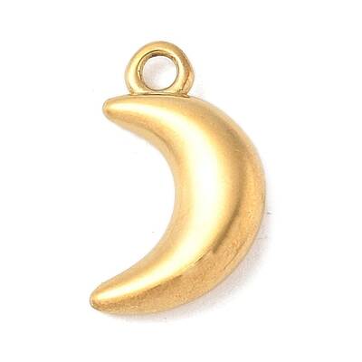 304 Stainless Steel Charms