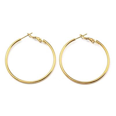 Ion Plating(IP) 316 Surgical Stainless Steel Hoop Earrings for Women