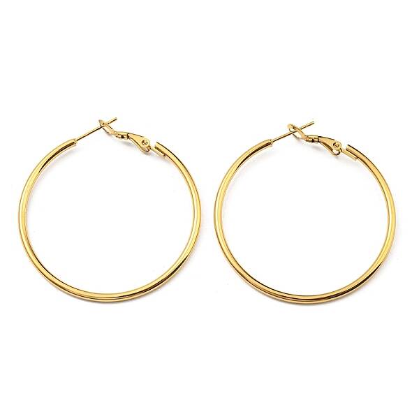 Ion Plating(IP) 316 Surgical Stainless Steel Hoop Earrings for Women