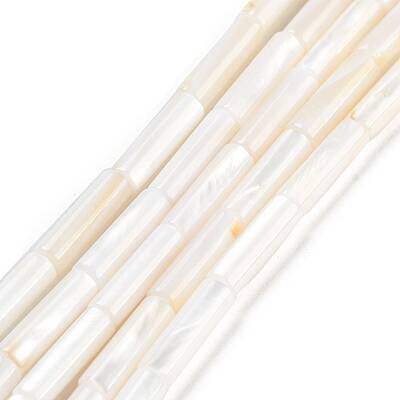 Freshwater Shell Beads Strands