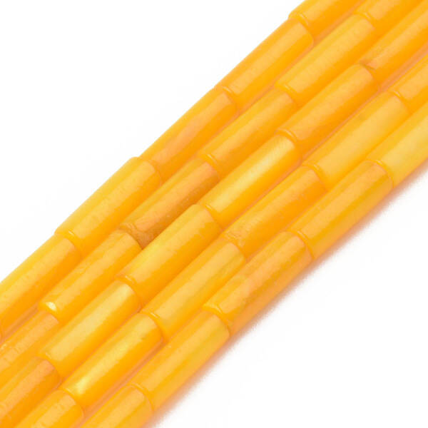 Natural Freshwater Shell Beads Strand