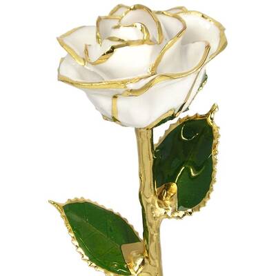 24k Gold Trimmed Rose: 11 White Rose
