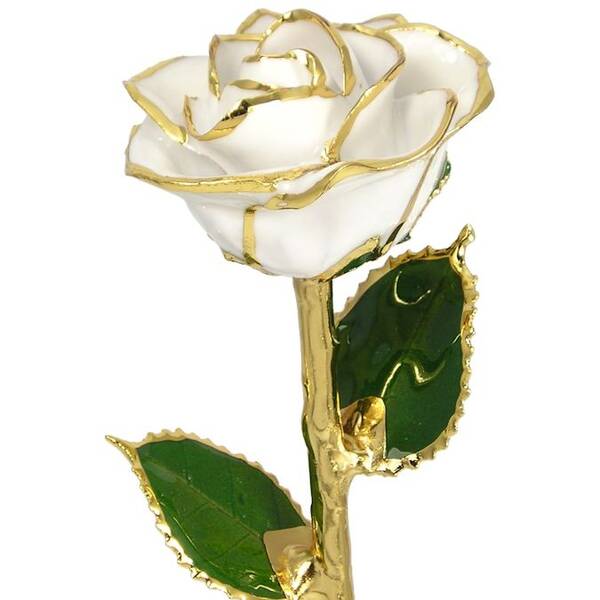 24k Gold Trimmed Rose: 11 White Rose