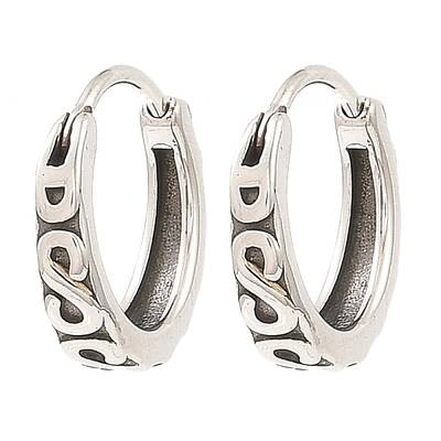 316 Surgical Stainless Steel Hoop Earrings