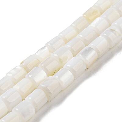Natural Freshwater Shell Beads Strands