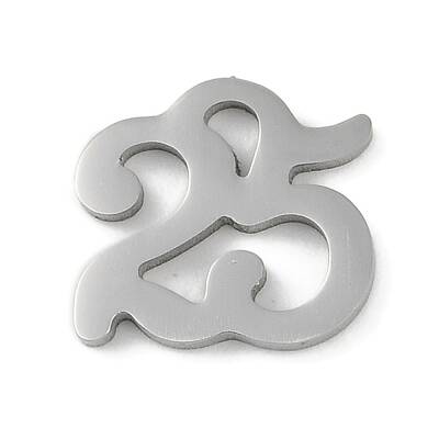 Non-Tarnish 304 Stainless Steel Charms