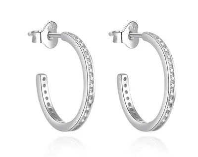 Agato Elegant Round Zirconia Earrings AGT-E140PW