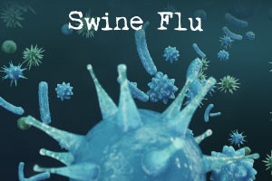 Swine Flu - Causes  Effects and Treatment