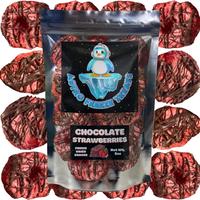Freeze Dried Chocolate Strawberries Fruit Astro Freeze Treats Crunchy Snack 2oz Bag Crispy Snack Sugar Flavor Sweet n Healthy...