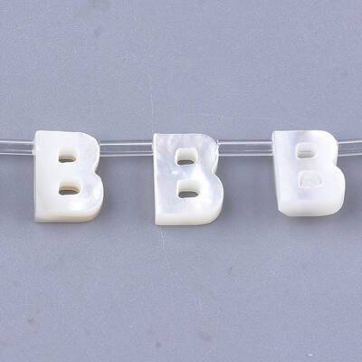 Natural Sea Shell Beads