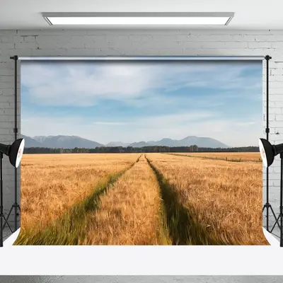 Aperturee Golden Wheat Field Blue Sky Outdoor Beautiful Backdrop | Professional Photography Backdrop | Photography Backdrops ...