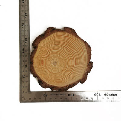 Wooden Slices