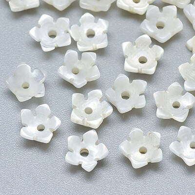 Natural White Shell Beads