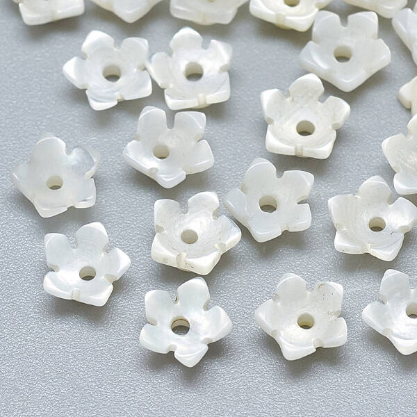 Natural White Shell Beads