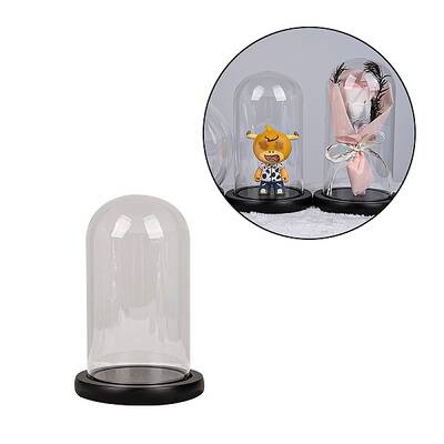 Arch Glass Dome Cover