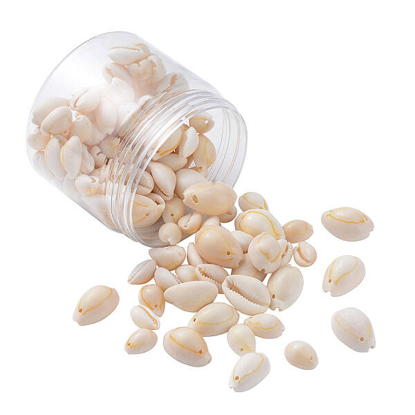 Natural Cowrie Shell Beads