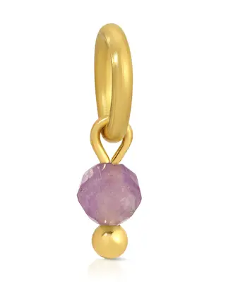 One Love Birthstone Charms | Metal Color: Gold | Month/Gemstone: February - Amethyst