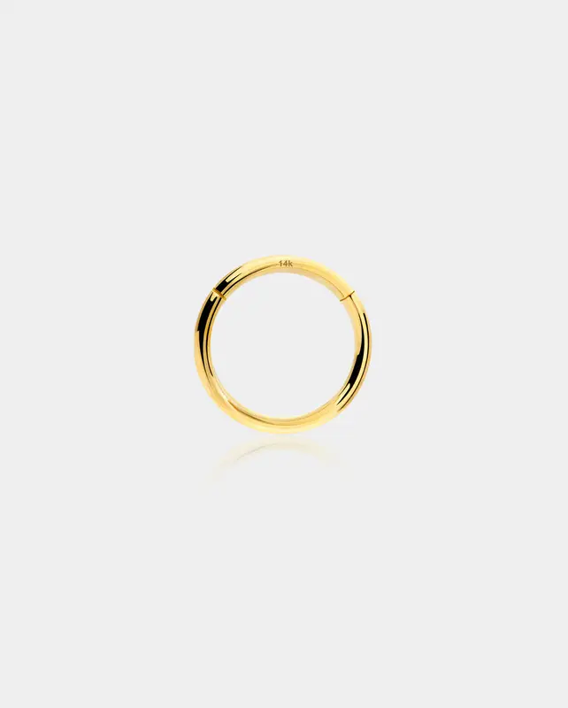 18G 14K Gold Segment Nose Hoop - 5mm