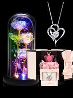 2 Piece Gifts Set for Women,  Light Up Rose in Glass-Preserved Rose with Heart Necklace, perfect Gifts for Mom Wife Women Sis...