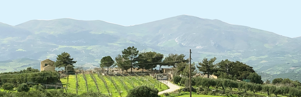 De schatten van Knossos onthuld: vanuit Chersonissos door Archanes' wijngaarden