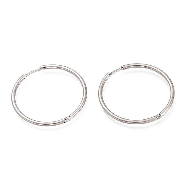 Non-Tarnish 304 Stainless Steel Huggie Hoop Earrings