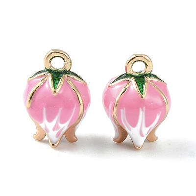 Brass Enamel Charms