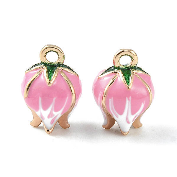 Brass Enamel Charms
