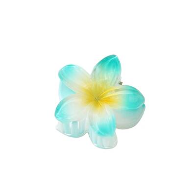 Plastic Claw Hair Clips