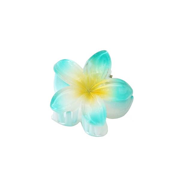 Plastic Claw Hair Clips