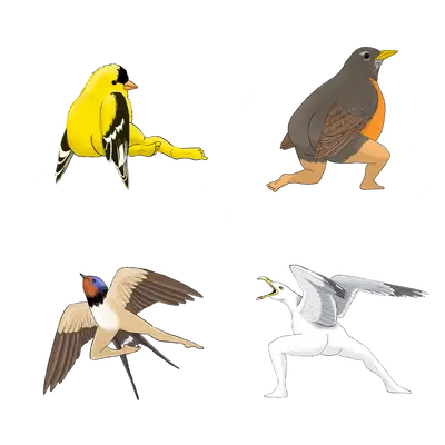 Precise Bird Stickers for Expert Birders (4-Pack) - 2024 Second Edition funny sticker office decor