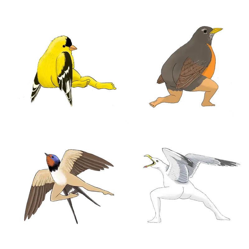 Precise Bird Stickers for Expert Birders (4-Pack) - 2024 Second Edition funny sticker office decor