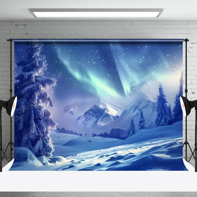 Aperturee Enchanting Winter Night Aurora Borealis Backdrop - Aperturee