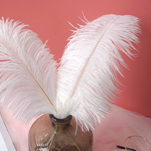 Bleached Ostrich Feather Ornament Accessories
